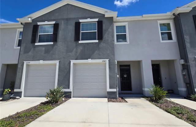 32803 PEZ LANDING LANE - 32803 Pez Landing Lane, Wesley Chapel, FL 33543