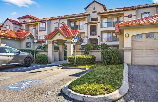 18107 PEREGRINES PERCH PLACE - 18107 Peregrines Perch Place, Cheval, FL 33558