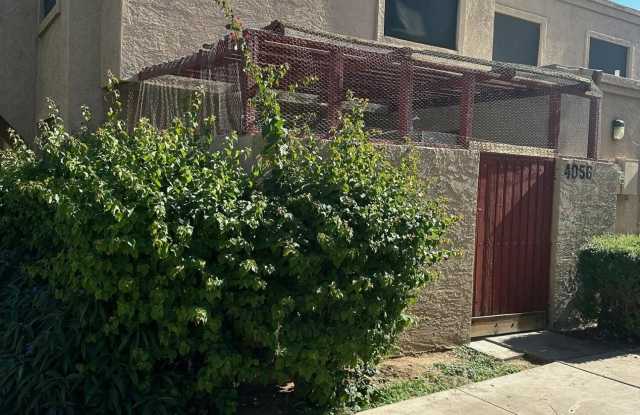 4056 W MESQUITE Lane photos photos