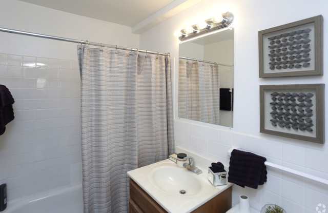 Willows on France photos photos