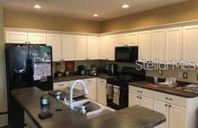 16219 BRIDGEWALK DRIVE Gallery 2