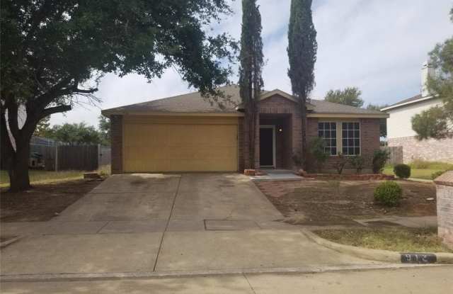 912 Mazourka Drive - 912 Mazourka Drive, Arlington, TX 76001