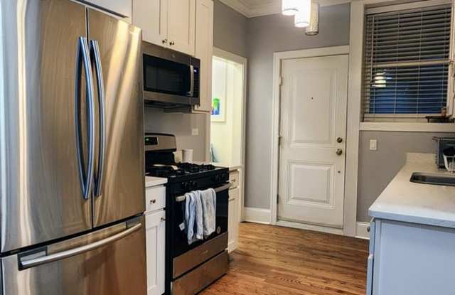 Condo quality 4 bedroom unit - 735 West Belmont Avenue, Chicago, IL 60657
