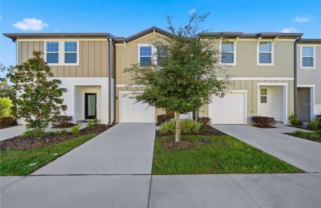 6155 DAERR RIDGE STREET - 6155 Daerr Ridge Street, Zephyrhills, FL 33542