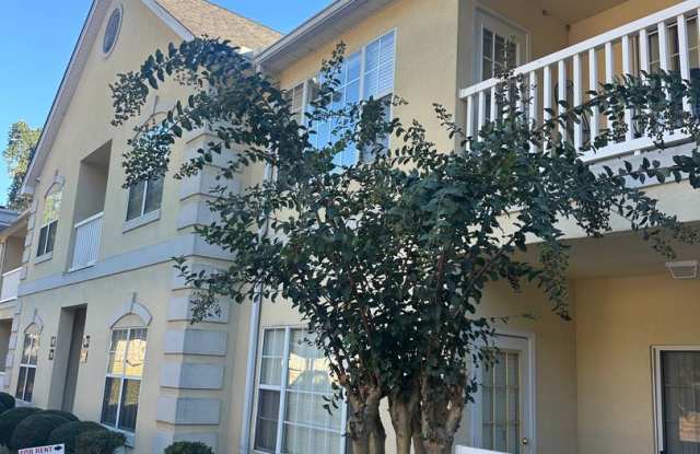 2 Bed, 2 Bath Condo in Downtown Gainesville Gallery 1
