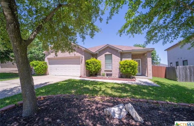 791 New Bridge Drive - 791 New Bridge Drive, Kyle, TX 78640