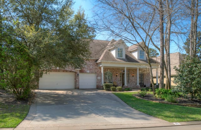 15 Lenox Hill Dr - 15 Lenox Hill Drive, The Woodlands, TX 77382