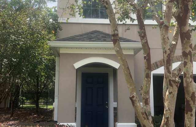 315 Sunstone Court - 315 Sunstone Court, Oakleaf Plantation, FL 32065