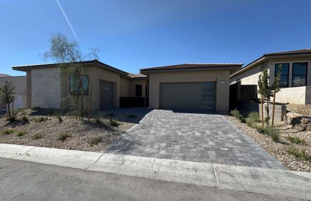 Modern Two-Story Home with Pool, Quartz Kitchen, Fireplaces, and Custom Closets! photos photos