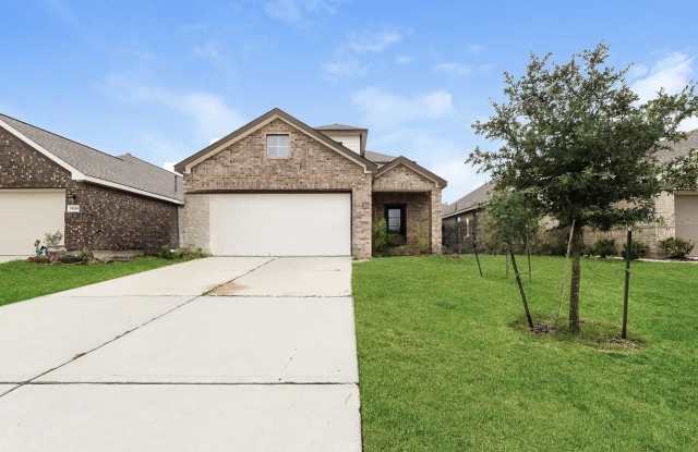 19436 Peppazzi Dr - 19436 Peppazzi Drive, Montgomery County, TX 77357
