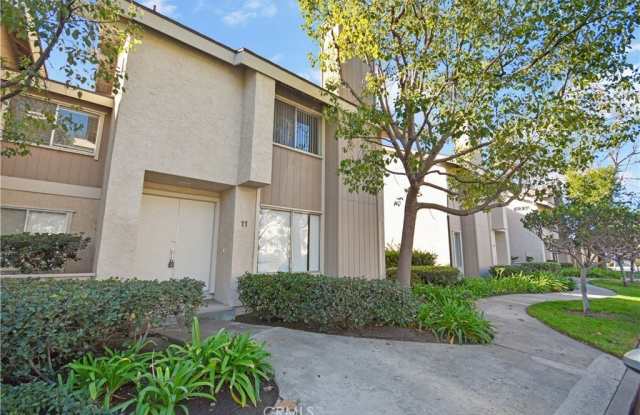 11 Dragonfly photos photos