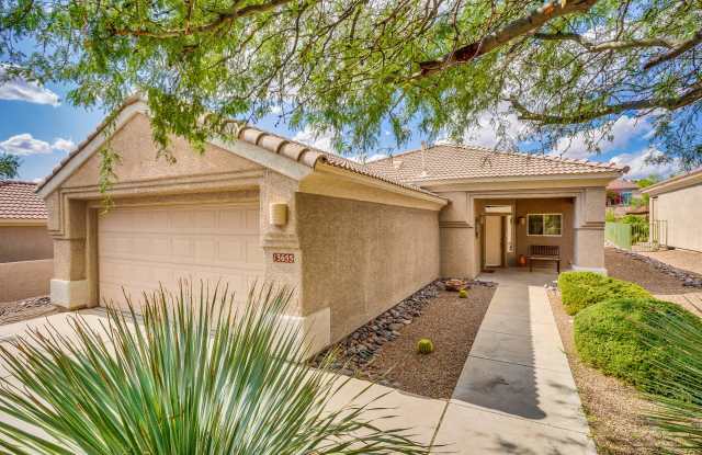 13655 North Gold Cholla Place photos photos
