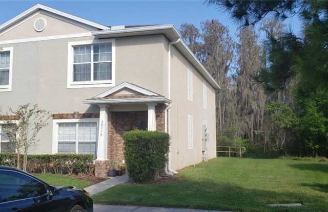 30316 ELDERWOOD DRIVE - 30316 Elderwood Drive, Wesley Chapel, FL 33543