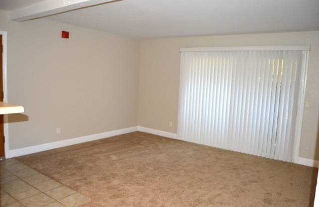 MOVE IN READY!! 1 Bedroom 1 Bath in Villa Borgata Gallery 4