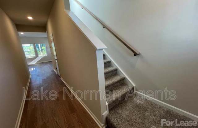 149 Bird Dog Gallery 3