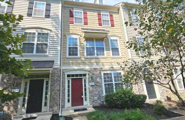 725 CHEVINGTON COURT - 725 Chevington Court, Woodbridge, VA 22191