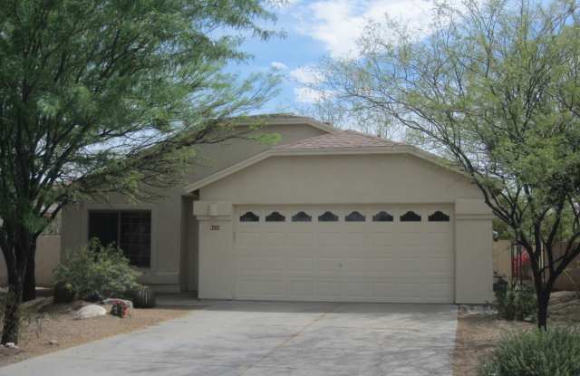 3 Bedroom & 2 Baths in Rita Ranch, Lots of Ceramic Tile, Nice Yard, & More! Gallery 1