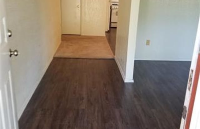 12317 Wycliff LN Gallery 2