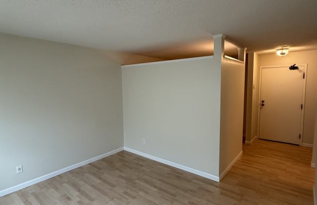 333 8th St SE Apt 205 Gallery 3