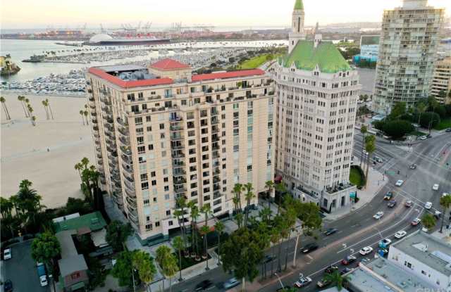 850 E Ocean Boulevard Gallery 4