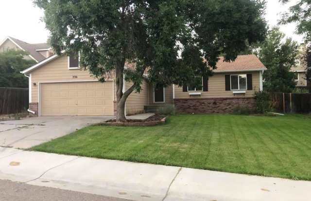 Bright 3 Bed, 2 Bath, Ranch-Style Home in South Fort Collins! photos photos