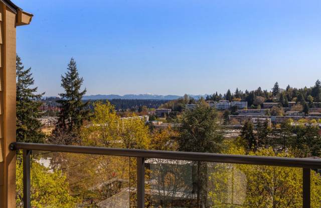 Mercer Island Condo photos photos