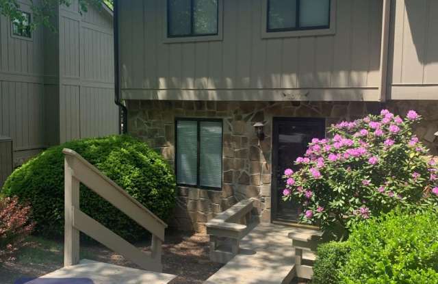 Stonehenge Townhome – Recently Updated End-Unit 3-Level Living Gallery 3