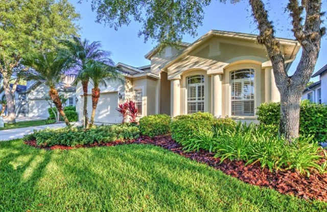 15533 Martinmeadow Drive - 15533 Martinmeadow Drive, Fish Hawk, FL 33547