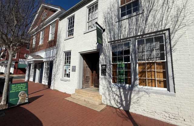 319 WILLIAM STREET - 319 William Street, Fredericksburg, VA 22401
