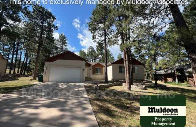 125 Tall Pine Ln - 125 Tall Pine Lane, Woodmoor, CO 80132