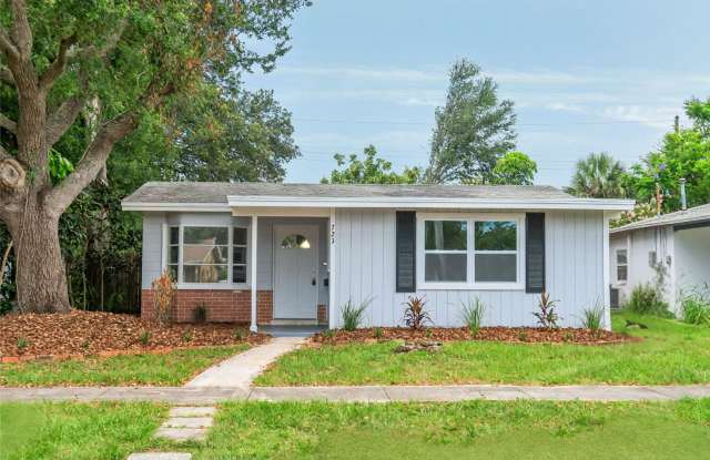 2 Bedroom, 1 Bathroom Home for Rent in St Petersburg! photos photos
