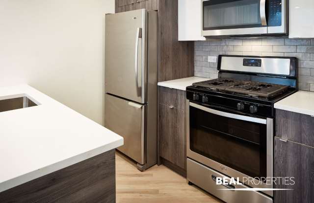 946 W Grace St - 946 West Grace Street, Chicago, IL 60613