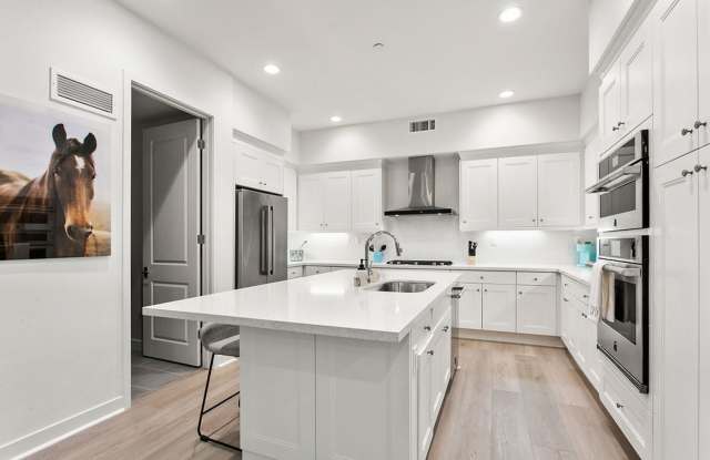 Amazing South Cove Townhome Near Doheny State Beach! Gallery 3