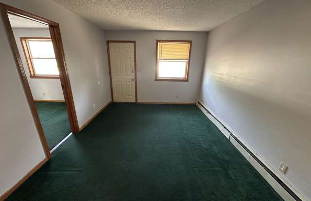 119 Ludington Street - Lower Gallery 1