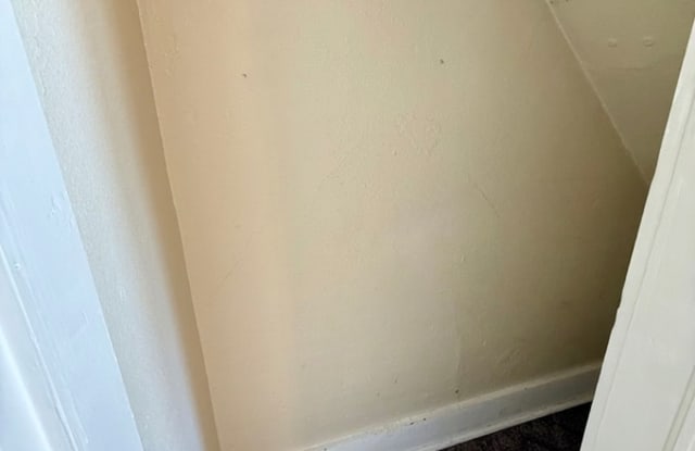 238 Scott Avenue - Lower Gallery 2