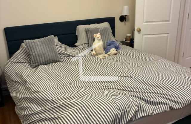 Charming 1 Bedroom-No Broker Fee Gallery 3