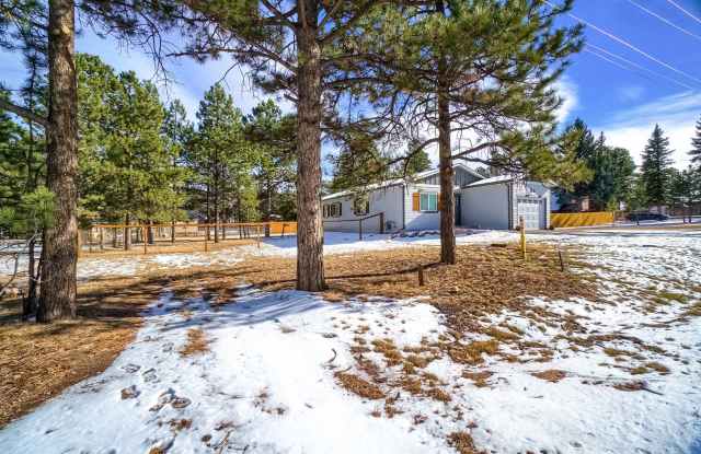 Modern Mountain Living in the Heart of Woodland Park 4BD & 2BA Gallery 3