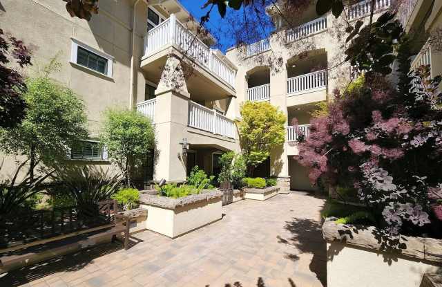 315 Homer Ave photos photos