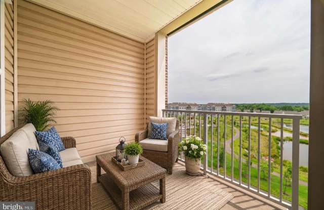 21630 HAWKSBILL HIGH Circle Gallery 2