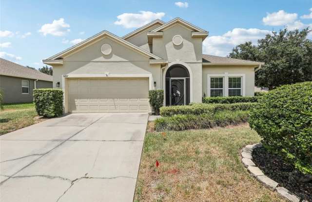 3207 ZANDER DRIVE - 3207 Zander Drive, Eustis, FL 32735