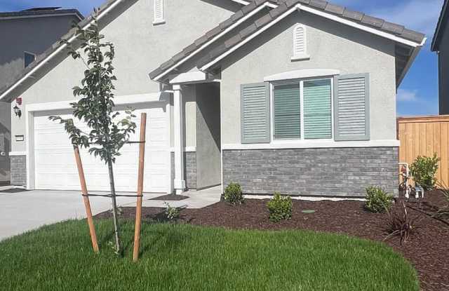 Honey - I'm Home!  BRAND NEW *Elk Grove" 3/2 (Solar).  Please view ENTIRE ad for viewings photos photos