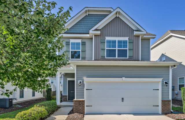 PRISTINE HOME IN PINNACLE RIDGE IN LAKE CAROLINA Gallery 1