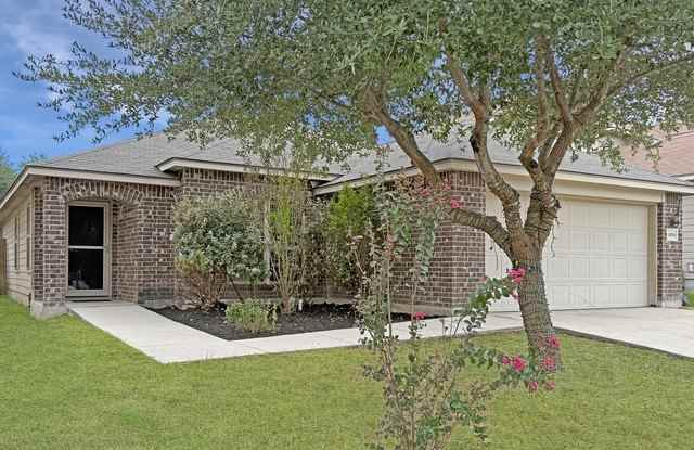 4096 Cherry Tree photos photos