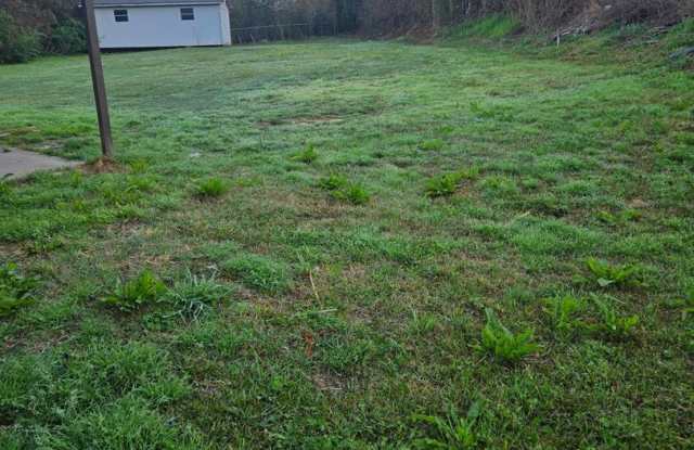 3 Bedroom 2 Bathroom Brick Home in Pineville - Large Yard - $1600 per month Gallery 3