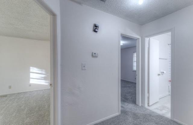 Updated 2 Bedroom Duplex with Attached Garage, Covered Patio & Move-In Ready! Gallery 4