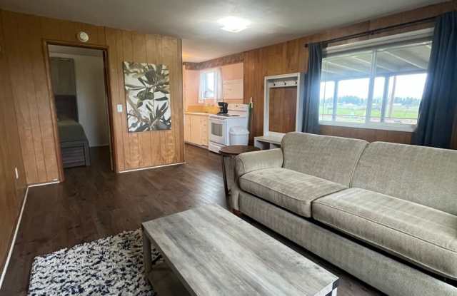 Fully Furnished 1-Bedroom Duplex photos photos