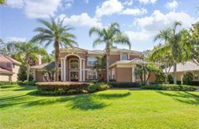 16416 BURNISTON DRIVE - 16416 Burniston Drive, Tampa, FL 33647