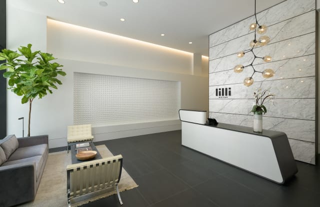 Lilli Midtown Gallery 2