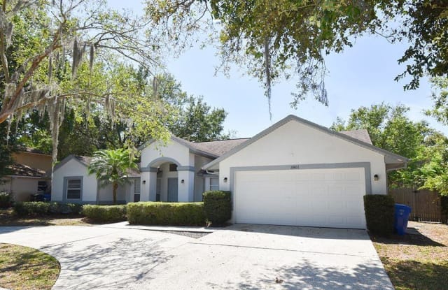 3801 POLUMBO DRIVE - 3801 Polumbo Drive, Bloomingdale, FL 33596