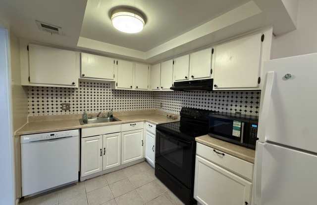 8766 WALUTES Circle Gallery 3